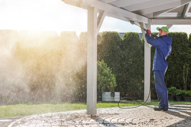 Best Roof Cleaning and Mildew Removal in Vineyard Haven, MA